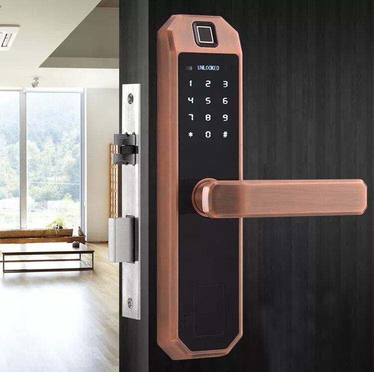 Дверной замок tuya Smart Wi-Fi. Врезной магнитный замок на входную дверь. Умный дверной замок tuya. Digital Lock кодовый замок. Электронная дверь в квартиру