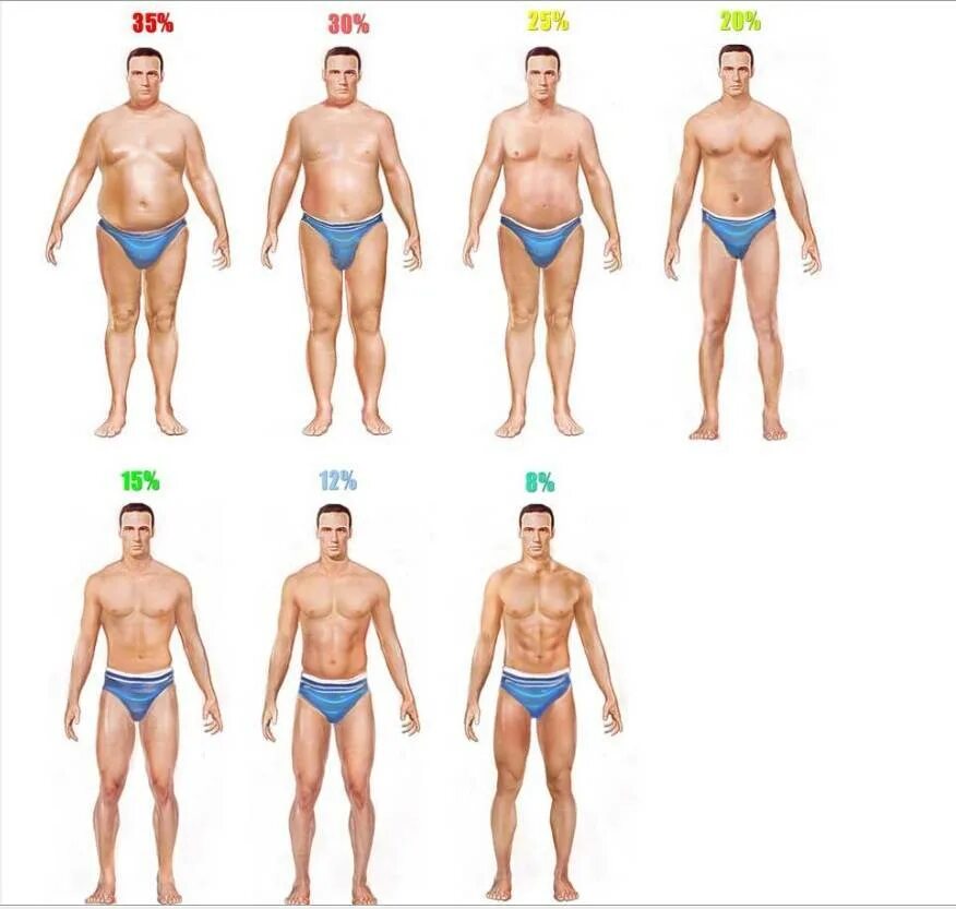 10 процентов мужчин. 20 Подкожного жира. % Жира в организме мужчины. Жир на теле мужчины.