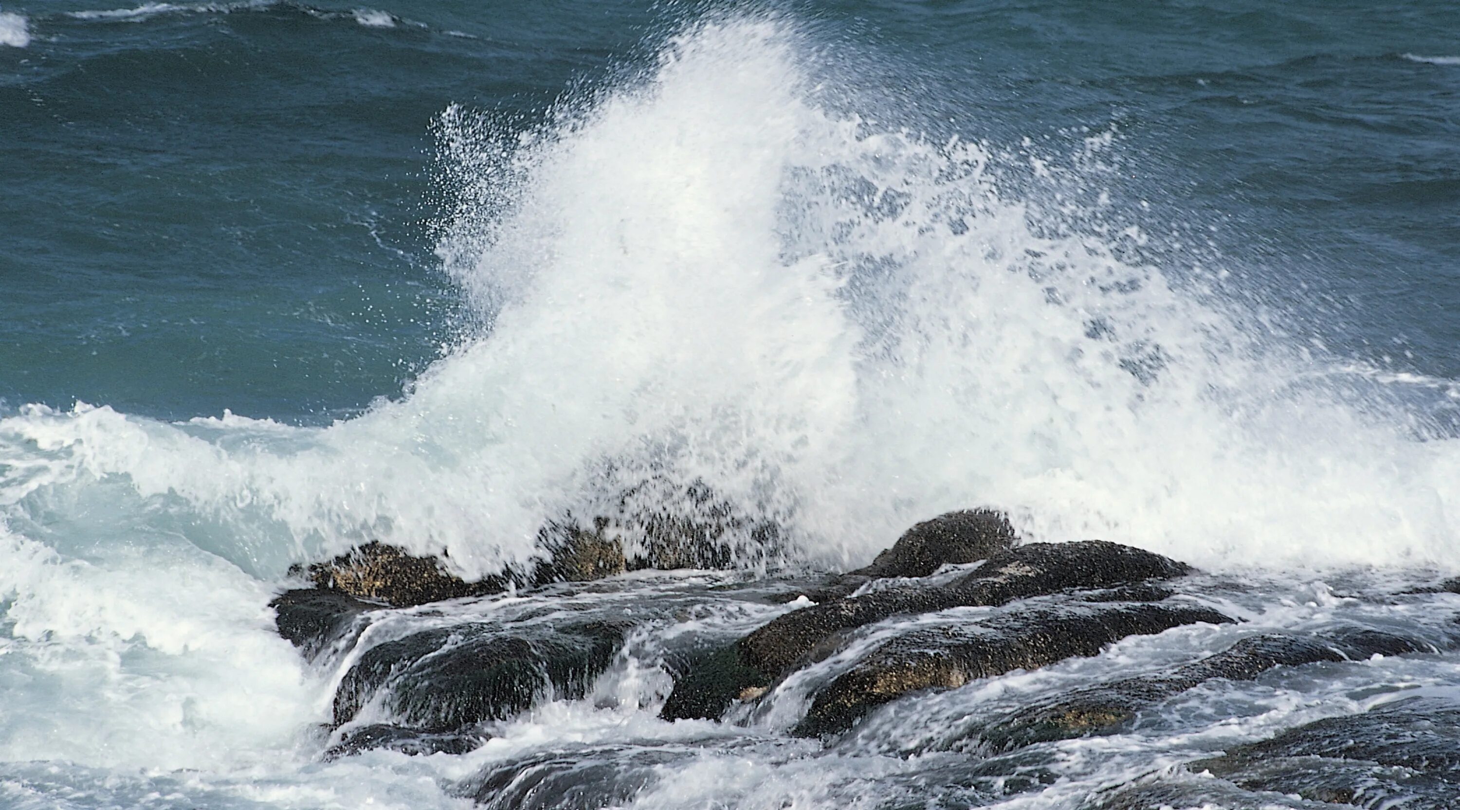 Почему в реках соленая вода. Соленая вода океана. Морская вода соль. Пресная и соленая вода. Пресная вода в море.