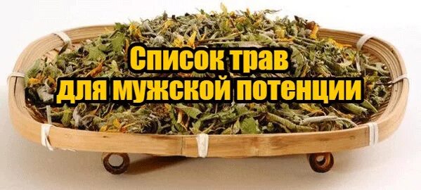 Травы для мужской потенции. Трава для мужчин для повышения потенции. Травяной сбор для повышения потенции. Травы повышающие потенцию.