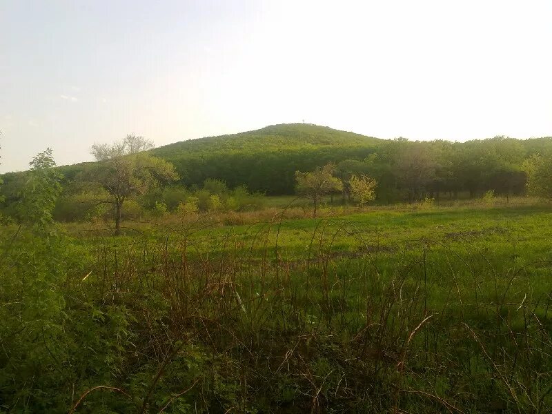 Реттиховка приморского края черниговского района. Приморский край село Халкидон. Халкидон Приморский край река. Черниговский район Приморский край. Приморский край поселок Реттиховка Черниговский.