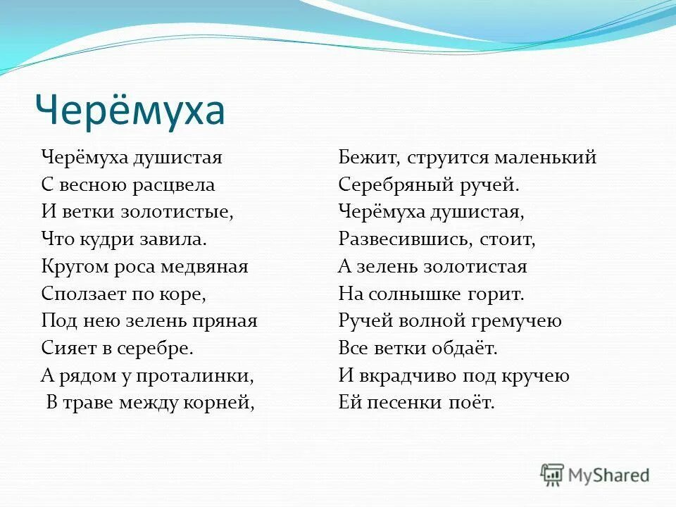 Песня беги береги. Черемуха текст песни. Черемуха песня слова. Черёмуха душистая с весною расцвела стих Есенина. Песня про черемуху текст.