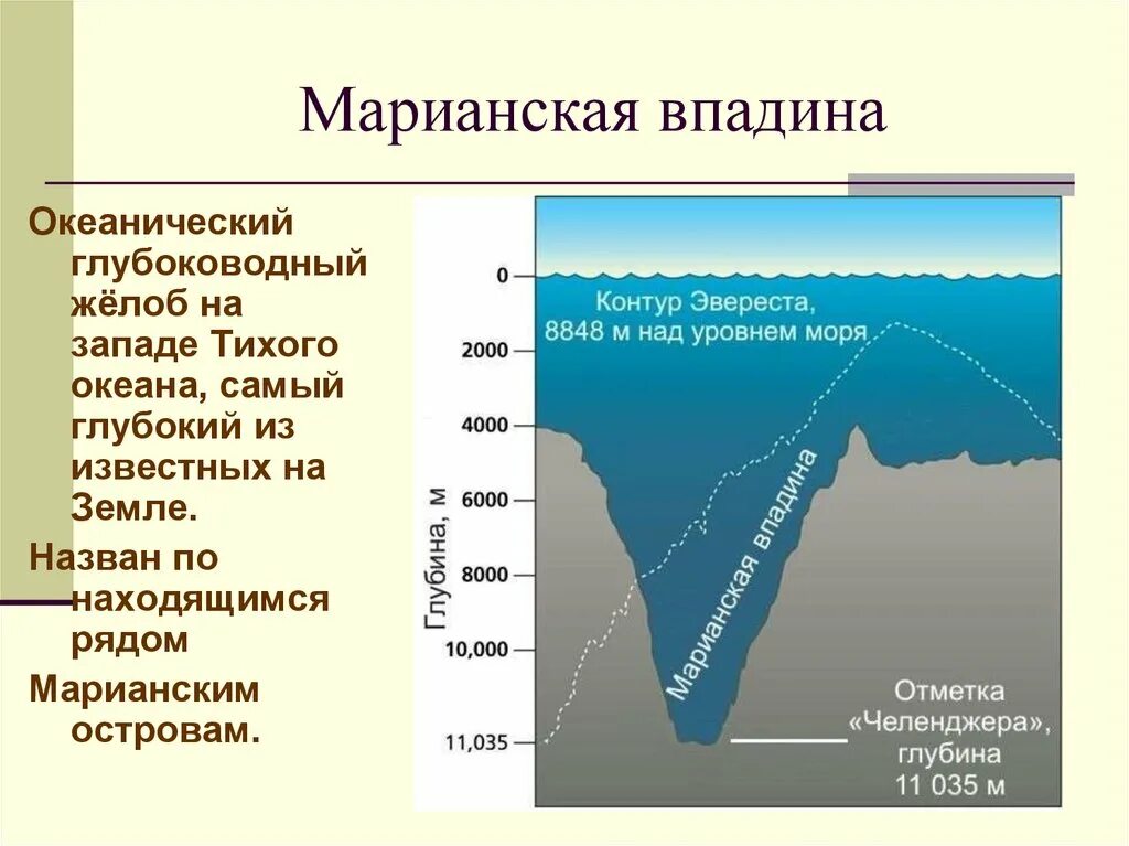 Океанические впадины рельеф дна. Пять глубоководных желобов Марианской впадины на карте. Марианская впадина рельеф дна. Рельеф дна возле Марианской впадины. Рельефы суши и дна океана