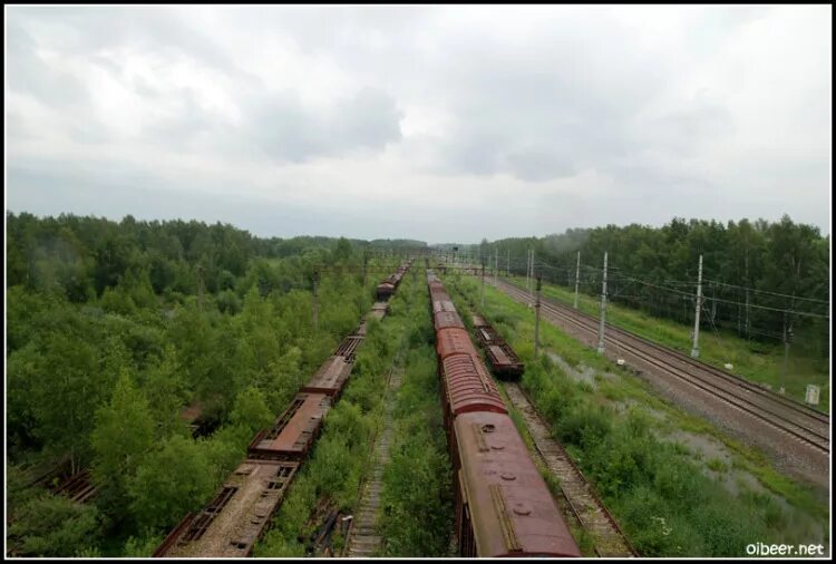 База железных дорог. База запаса Зеленогорск Эр 2. ЖД станция Электроугли. База запаса вагонов РЖД. База запаса вагонов Тюрлема.