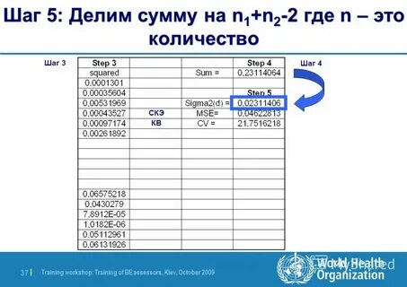 Шаг 24 октября 2024