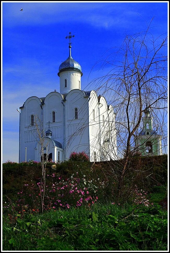 Город белая Церковь Украина. Белая Церковь Киевская область. Белая Церква. Литва белая Церковь.