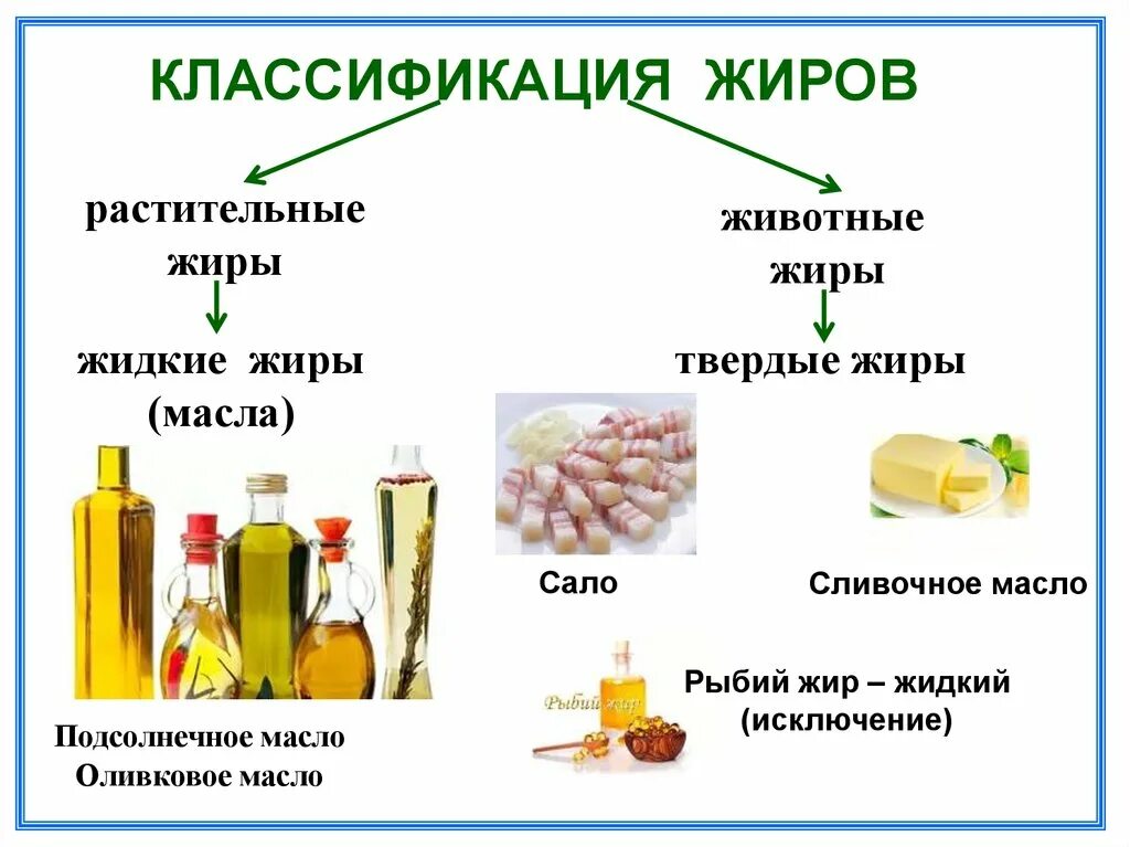 Какие животные жиры есть. Классификация жидких жиров. классификация растительных и животных жиров. подсолнечное масло классификация жиров. классификация пищевых жиров животные жиры.