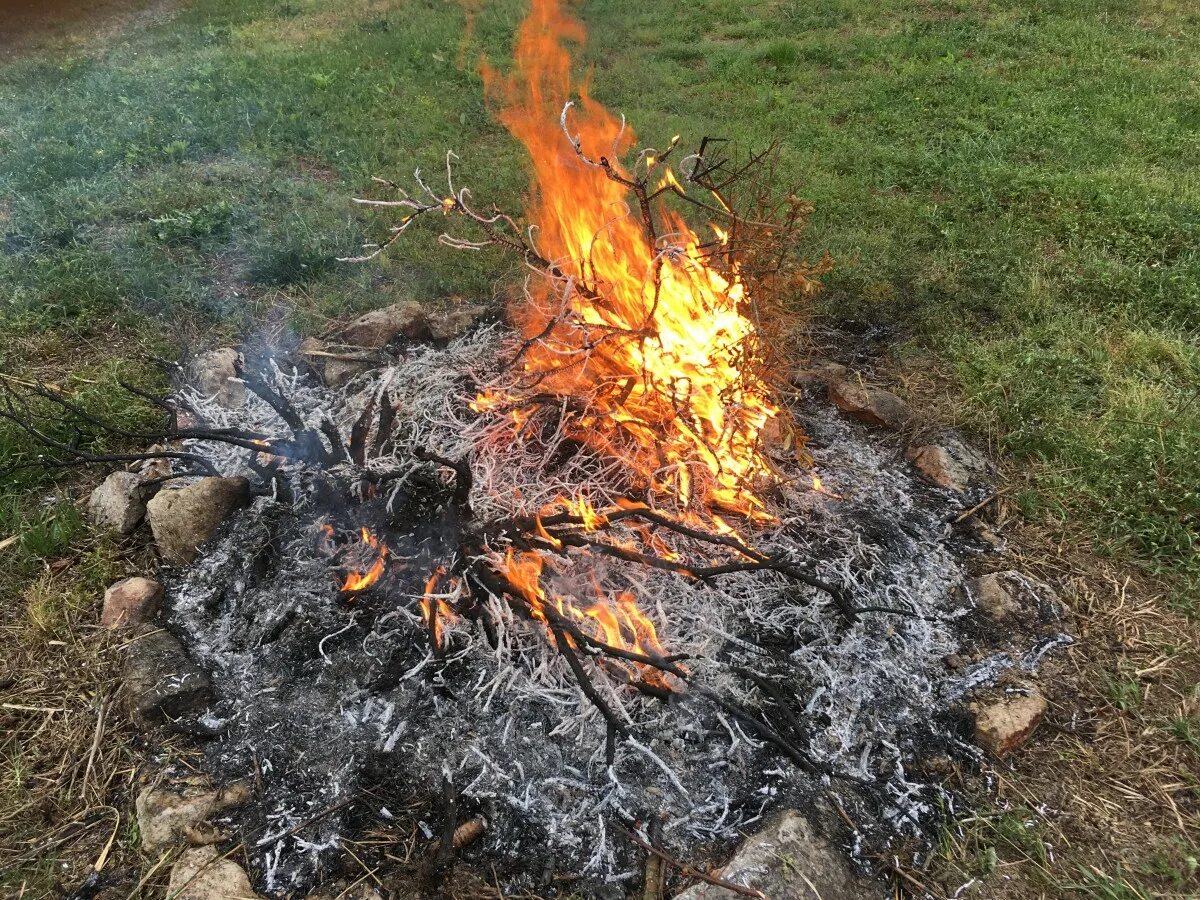 Можно ли жечь листья