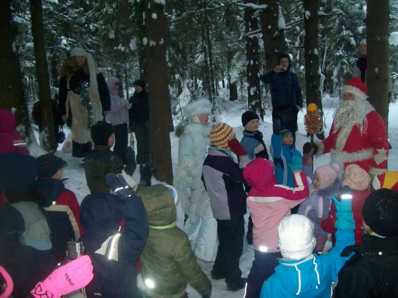 токсово новый год. резиденция деда мороза в токсово. прогулка в сосновом лесу зимой. токсово новый год. токсово новый год.