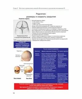 Темечко у новорожденного во сколько зарастает