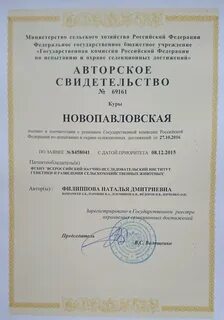 Срок патента на селекционное достижение