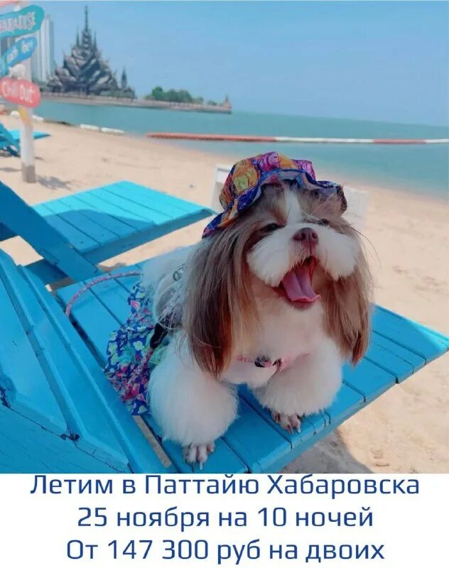 арабика пицунда абхазия. центр горящих туров чита. горящие туры из хабаровска 2024. бали горящий тур. арбика пансионат абхазии.