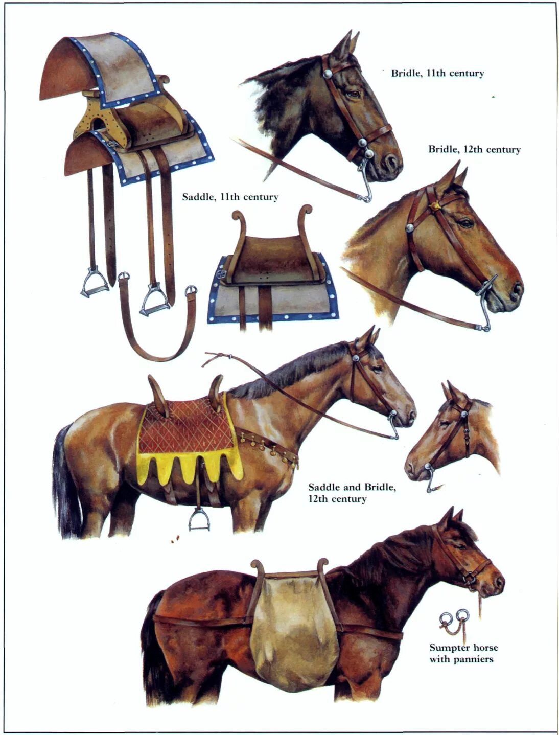 Лошадь вещи название. Конская упряжь седла. Конское снаряжение. Обмундирование лошади. Амуниция для лошади названия.