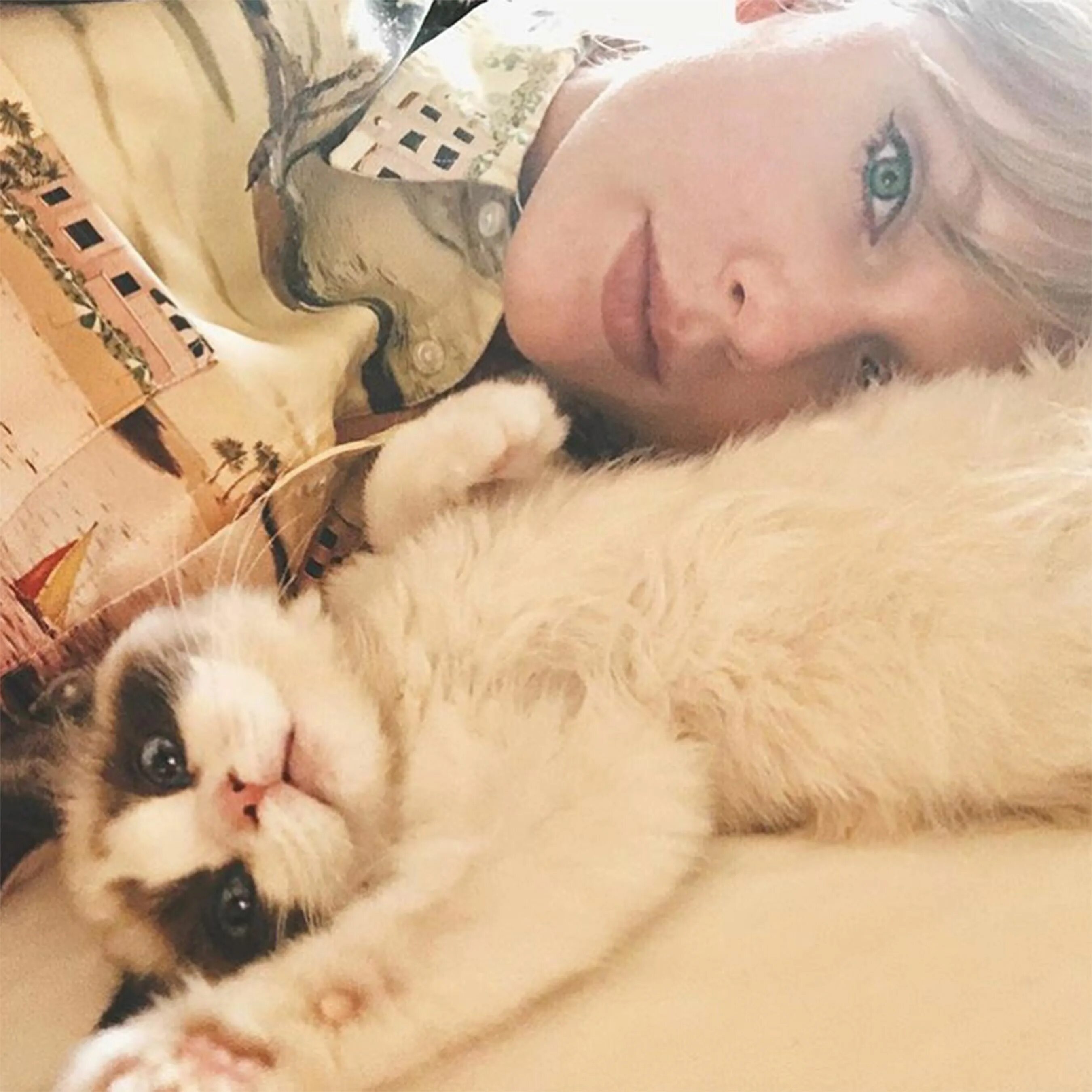 Кошка тейлор. Тейлор Свифт с котом. Теролсфифт с котом. Taylor Swift Benjamin. Бенджамин Баттон кот Тейлор Свифт.