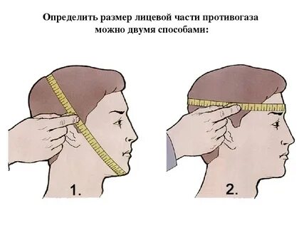 Измерение размера головы