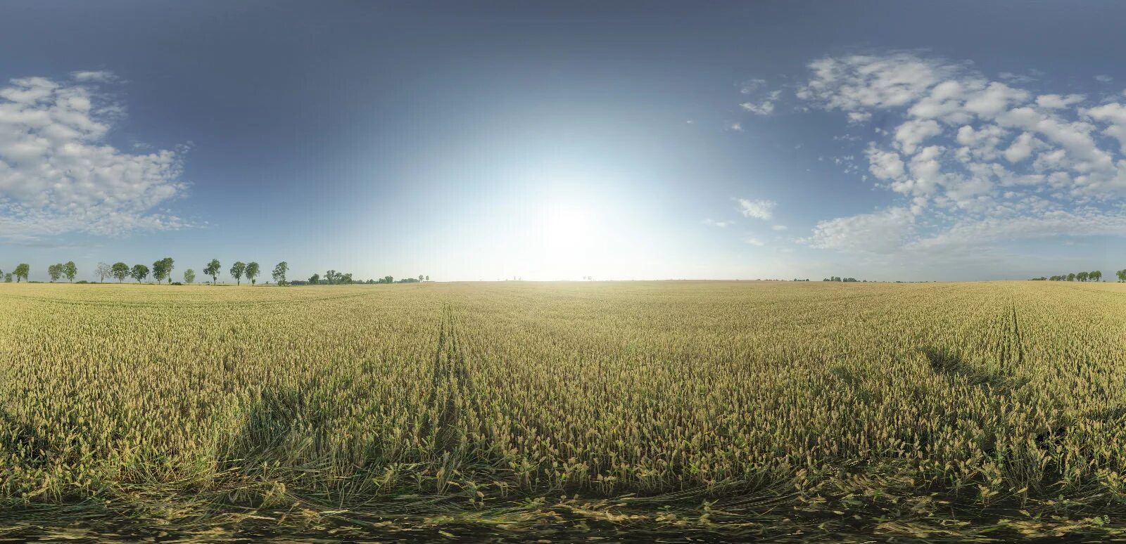 Hdri поле. 3ds max hdri лес. Hdri карты 3d max лес. Поле лес. Hdri environment 3ds max.