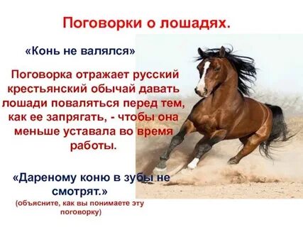 Текст привели коня