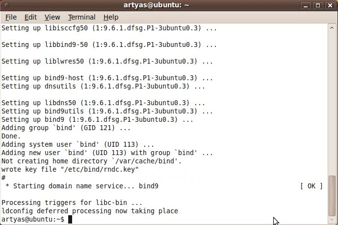 Bind9. Bind9utils что это. Linux bind. DNS сервер bind настройка. User bind