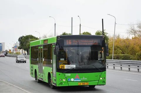 509 автобус