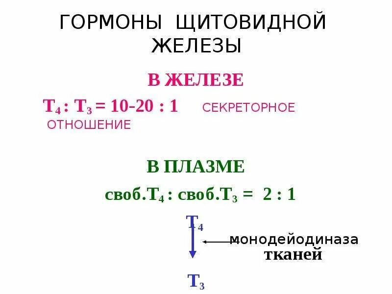 Железо т4. Т3 и т4 гормоны щитовидной железы. Т4 гормон щитовидной железы. Гормоны щитовидной железы ТТГ т3 т4 норма. Синтез гормонов щитовидной железы схема.