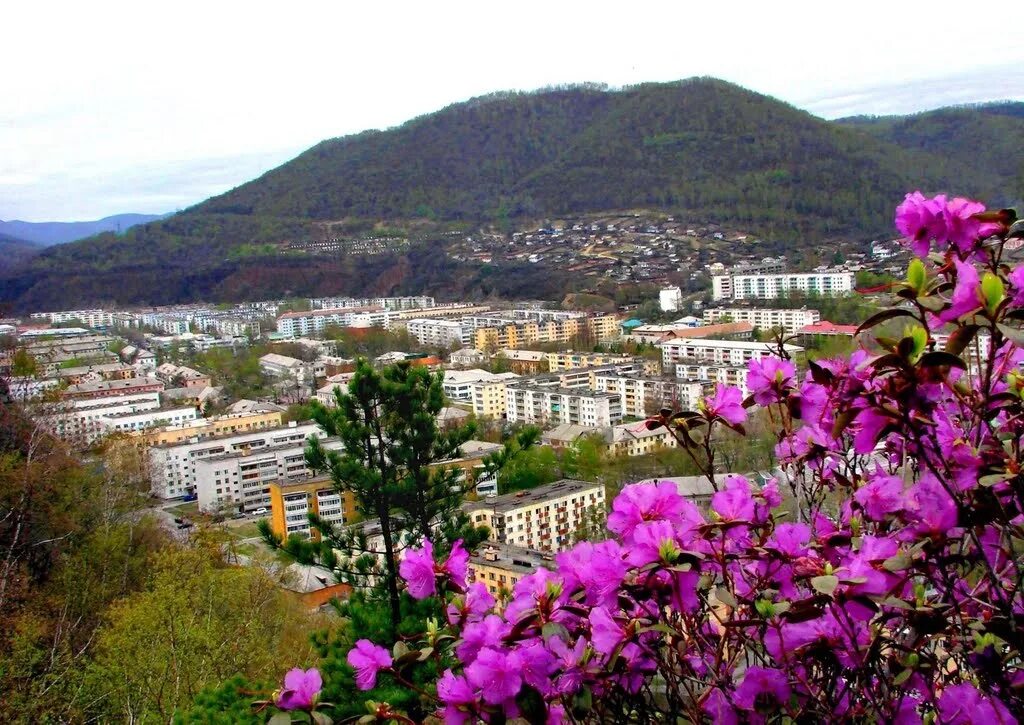 телефоны г находка. международный морской клуб находка. красивые здания в находке. ваша находка магазин сайт. телефоны г находка.