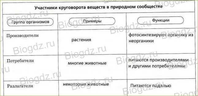 Производители примеры функции. Роль организмов в природных сообществах. Природные сообщества таблица. Группы организмов в природном сообществе. Участники круговорота веществ в природном сообществе.