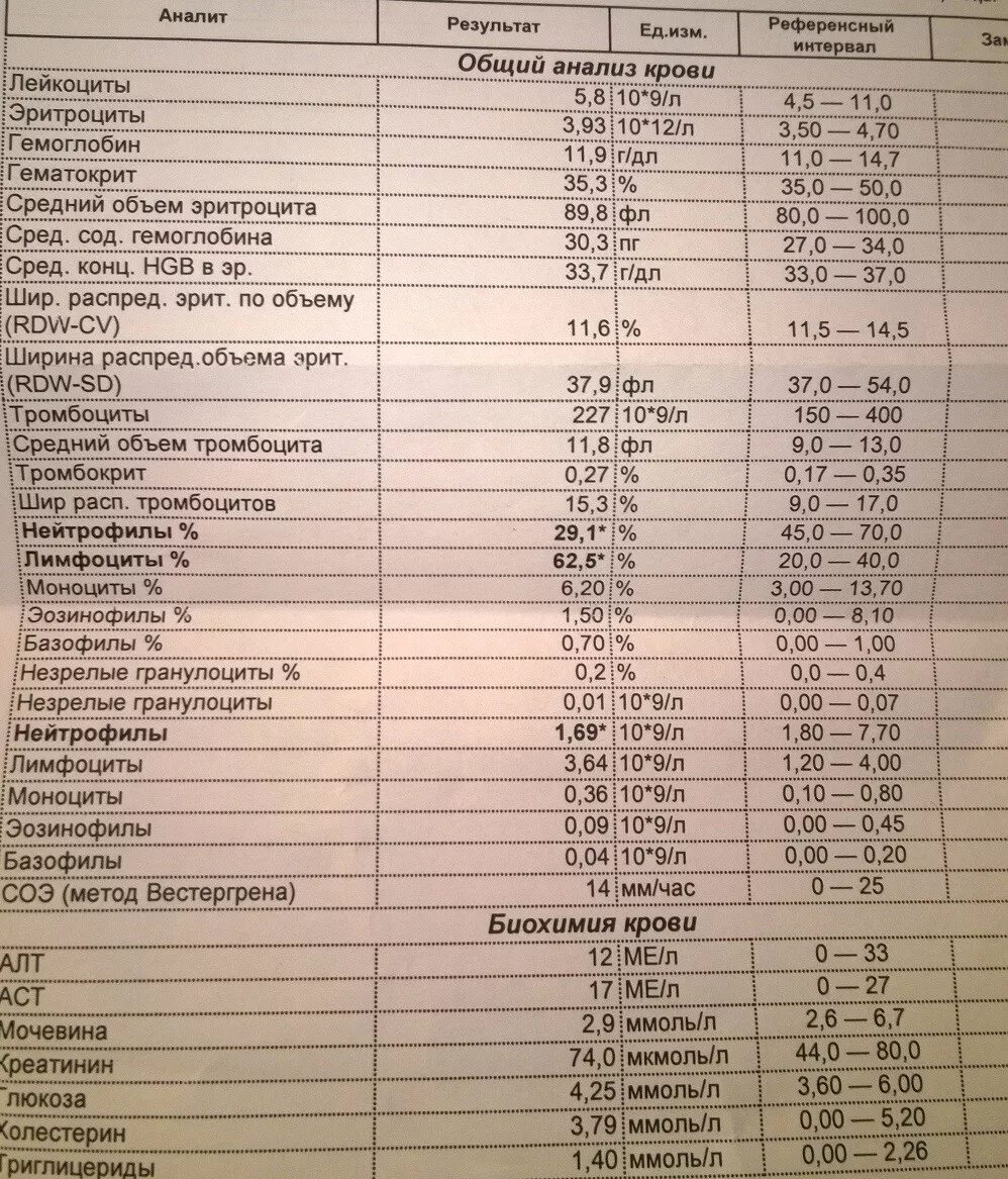 Повышенные гранулоциты в крови причины. Незрелые гранулоциты. Анализ кровигранулоцыты. Гранулоциты в анализе крови норма. Норма гранулоцитов в крови у женщин.