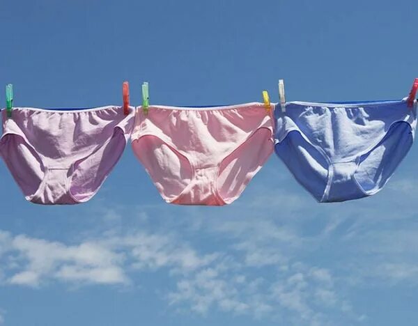 Steal panties. Steal panties. Steal panties. Soiled knickers. Stolen panties heavy stains cum collection.