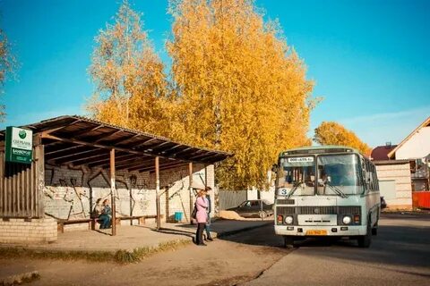 Автобус вельск