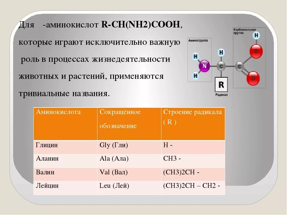 Амины группы б. Аминокислоты презентация. Аминокислоты класс соединений. Таблица основных аминокислот. Аминокислоты по химии.