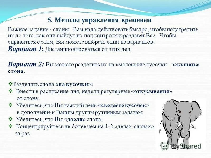 Организация времени в тексте. Задачи тайм менеджмента. Слон тайм менеджмент. Слоны в тайм менеджменте это. Методики тайм-менеджмента.