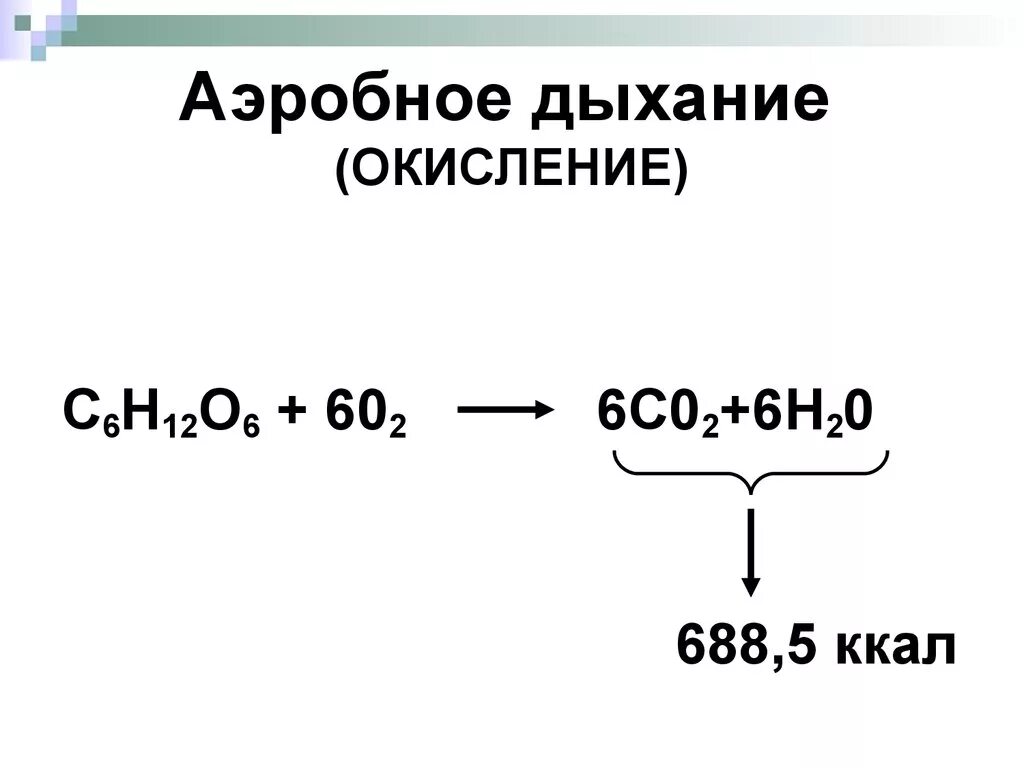 Процесс аэробного дыхания схема. Уравнение аэробного и анаэробного дыхания. Реакция аэробного дыхания. Аэробное дыхание микроорганизмов. Аэробное окисление веществ