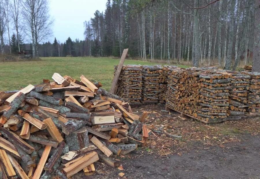 Пилим валежник