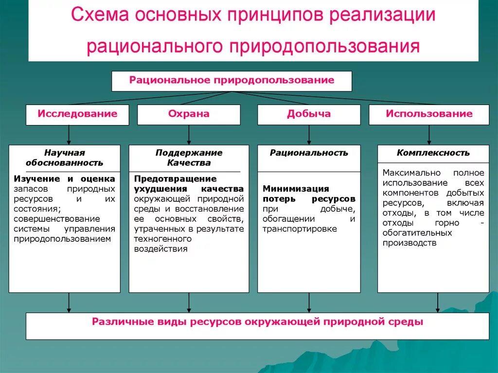 Принципы рационального природопользования схема. Принципы рационального природопользования таблица. Принципы рвционального придодополь. Принцип рационального природопользования принцип. Направления экологической деятельности