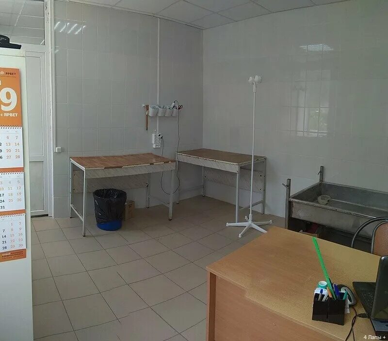 4 лапы рязань клиника вокзальная ветеринарная. 4 лапы ветеринарная клиника. ветеринарная 4 ветклиника. 4 лапы рязань ветклиника вокзальная 42. клиника ветеринарная на островского рязань.