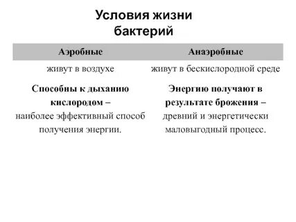 Условия неблагоприятные для жизни бактерий