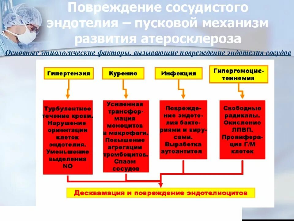 Факторы повреждения эндотелия атеросклероз. Механизм развития атеросклероза сосудов. Механизм формирования атеросклероза. Факторы повреждающие эндотелий сосудов.