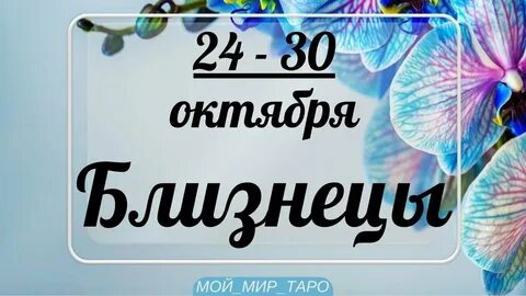 Таро на сентябрь 2024 года близнецы