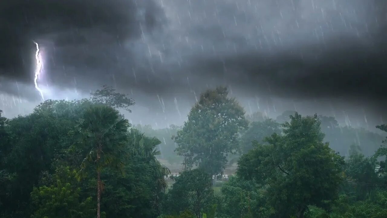 Thunder rain. Ливень с грозой. Гроза и дождь. Дождь и молния. Весенние грозы и ливни.