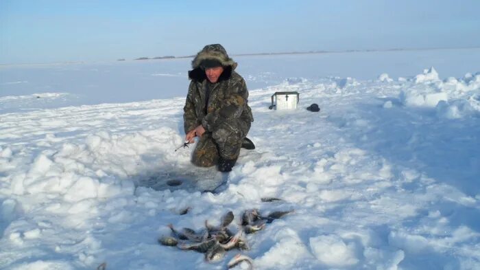 Село Чулым Здвинского района. Широкая Курья Здвинский район рыбалка. Здвинск Новосибирская область рыбалка. Озеро Каргат Новосибирской области. Алексеевка здвинского района новосибирской области