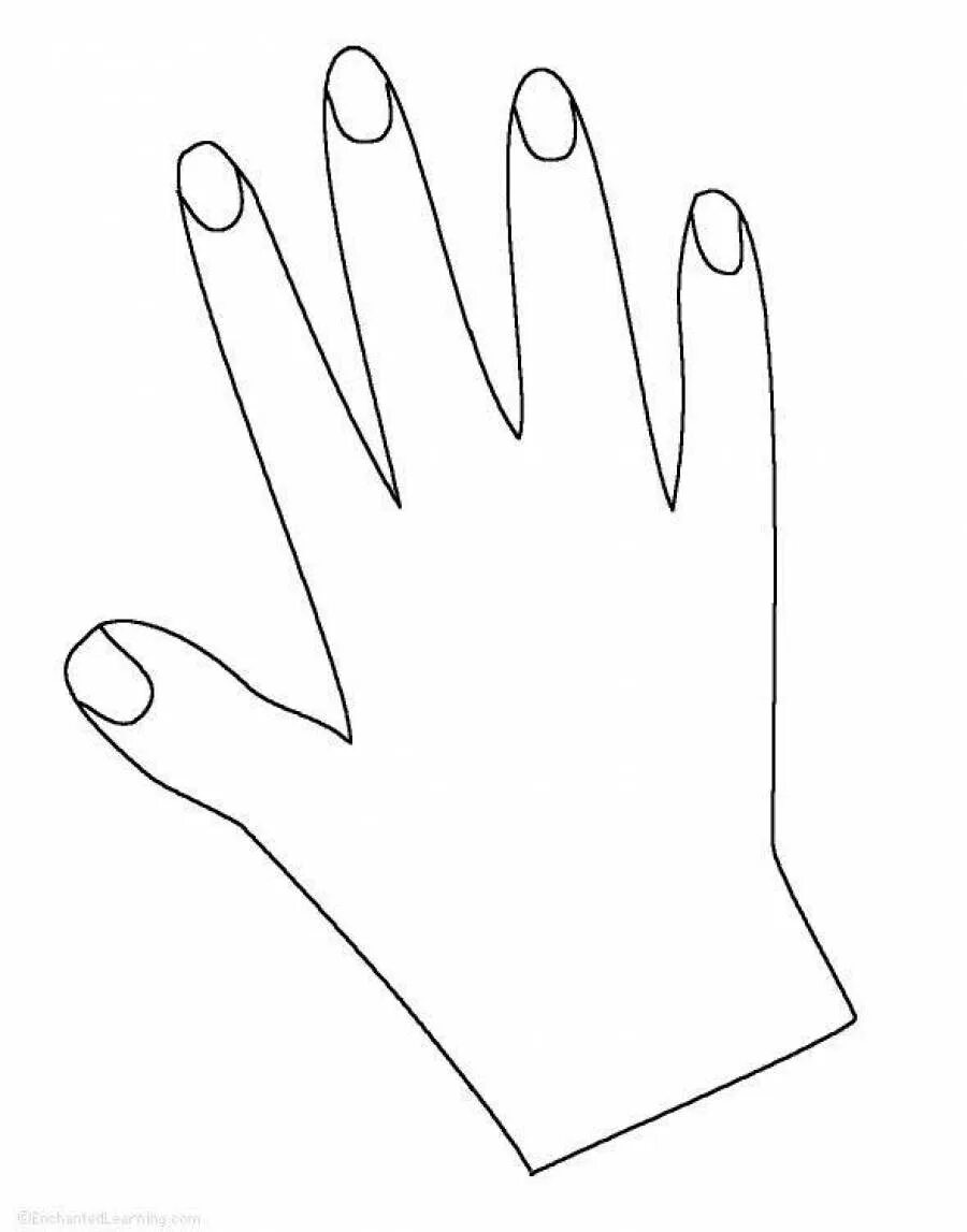 Руки для вырезания из бумаги шаблоны. Рука раскраска. Ладошки для раскрашивания. Рука раскраска для детей. Рука с ногтями шаблон.