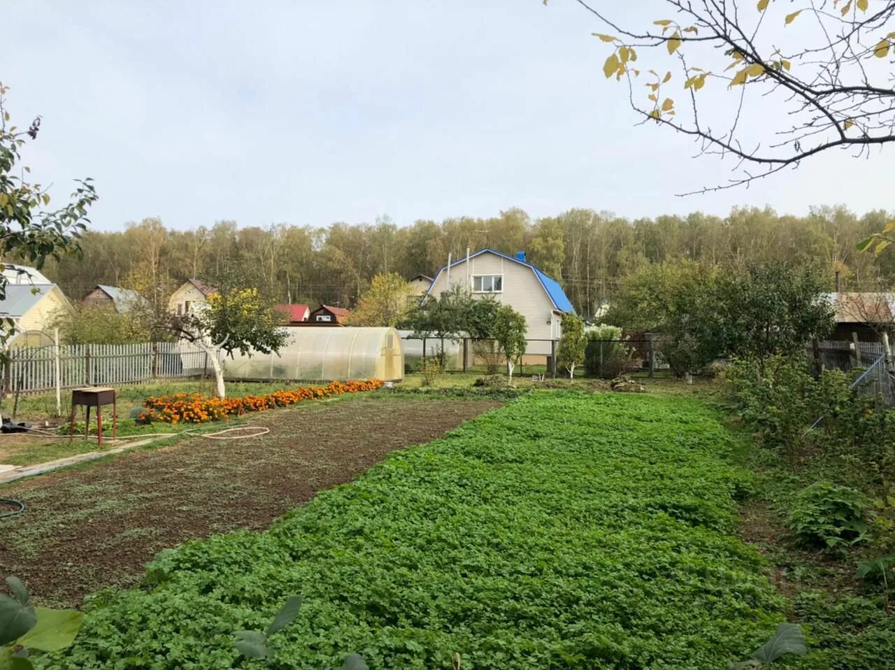 Михнево (городской округ Ступино). СНТ Птицевод-2. СНТ Птицевод 1. СНТ Птицевод Усады. Снт птицевод купить