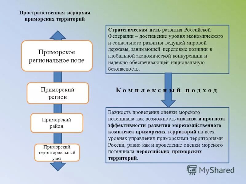 Пространственная структура биоценоза ярусность. Пространственная структура биоценоза. Пространственная иерархия. Пси прим потенциал. Типы пространственной структуры сообщества.