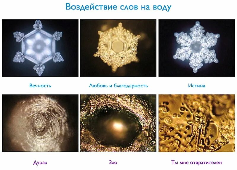 Эксперимент Масару Эмото. Японский ученый Масару Эмото снежинки. Кристаллы Эмото Масару. Кристаллы воды Масару Эмото. Структурированная вода в домашних условиях