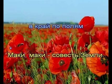Песня маки маки горькая память