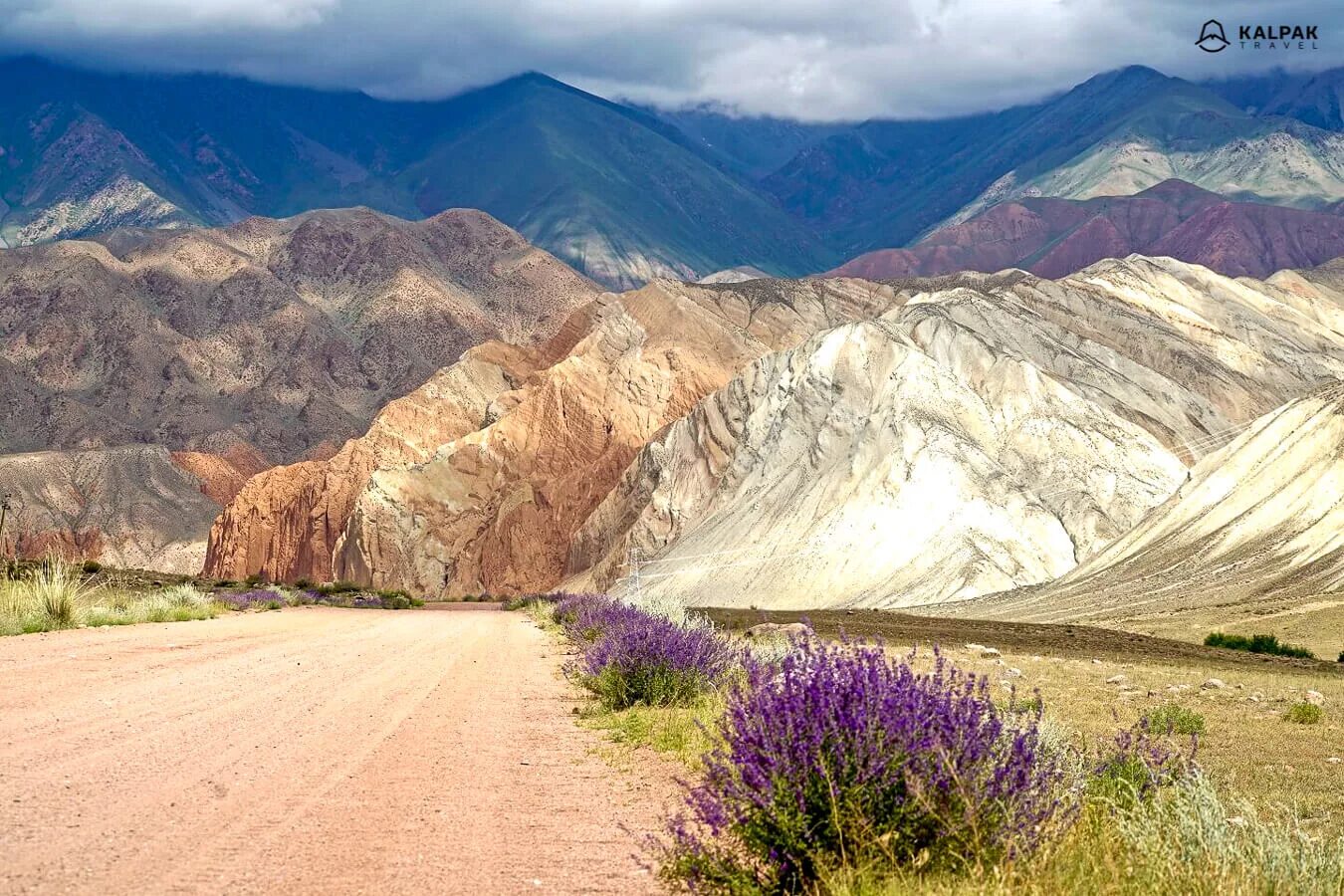 Тянь Шань природа Кыргызстан. Джалал-Абад Киргизия горы. Долина Арабель Киргизия. Тянь Шань Киргизия маки. Климат кыргызстана