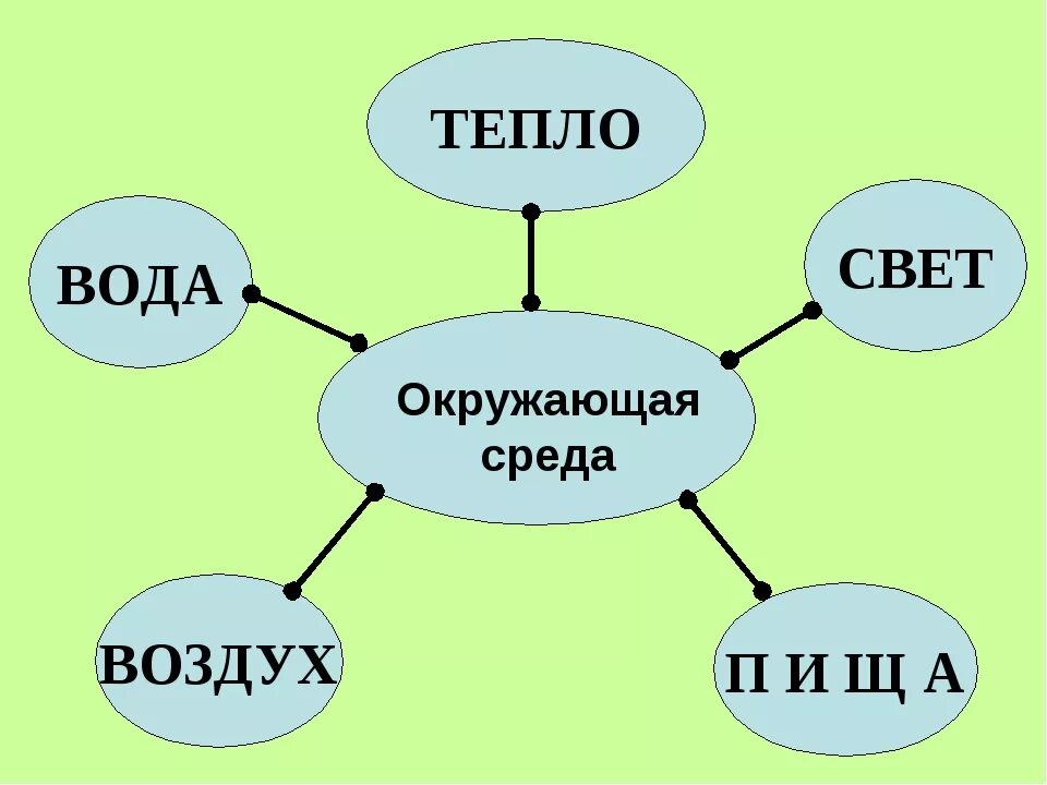 Экология это 3 класс. Что такое экология 3 класс окружающий мир. По окружающему миру 3 класс экология. Проект экология 3 класс окружающий мир. Орлята экология 3 класс