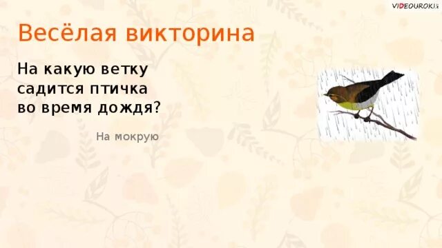 Птица садится на ветку. Какая птица никогда не садится на землю. Во время дождя на какие деревья садятся птицы. На какое дерево не садится птица во время дождя.