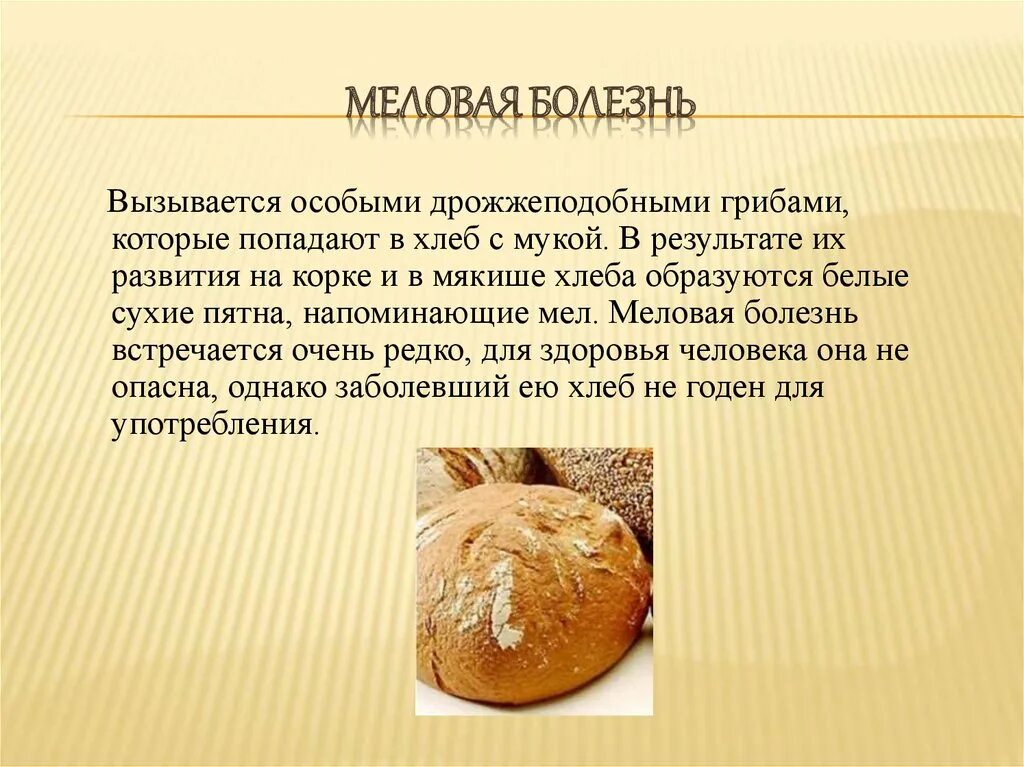 Меловая болезнь хлеба. Картофельная болезнь хлеба. Болезни хлеба презентация. Болезни хлеба меловая болезнь. Картофельная болезнь хлеба признаки