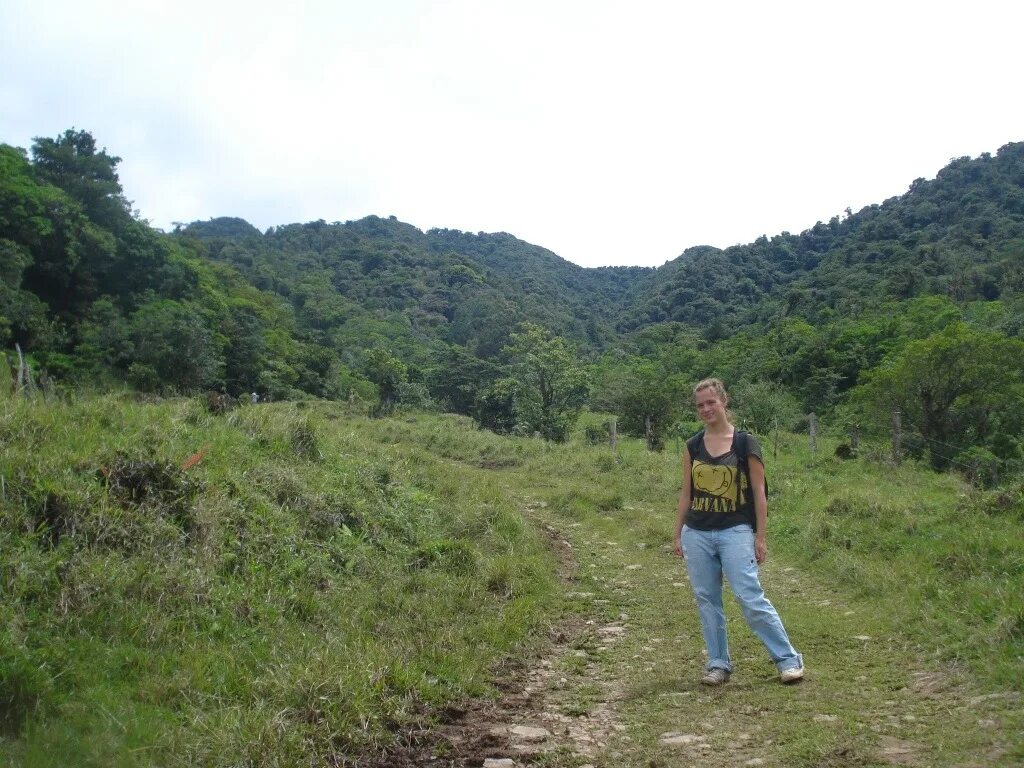 Тропа пианиста панама. Дорога через ущелье. Тропа эль пианиста. Крис лисанн бокете. Тропа эль пианиста.